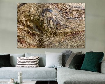 Écorce d'arbre dans des teintes et des textures naturelles sur Sia Windig