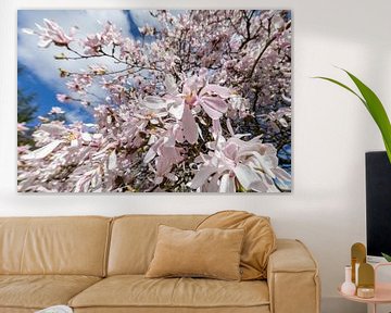 Magnolia pracht en praal van Christoph Hermann