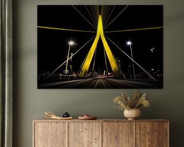 Erasmus Bridge, Rotterdam by Martijn Smeets