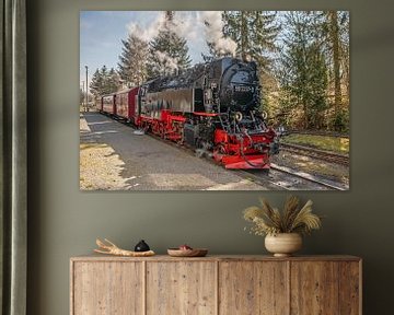 Einfahrt der Selketalbahn in den Bahnhof Hasselfelde von t.ART