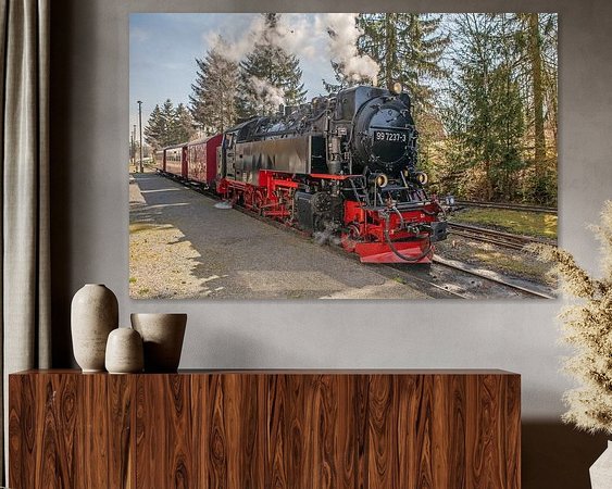 Aperçu de la chambre