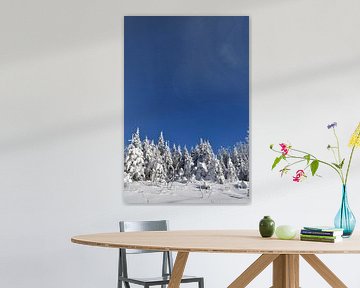 Een besneeuwd bos onder een blauwe hemel van Claude Laprise