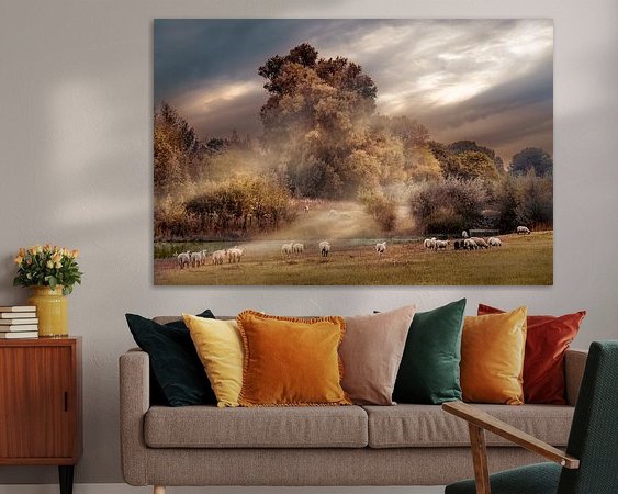 Aperçu de la chambre