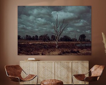 Bargerveen in onrust. Natuur fotografie van Drenthe van Denise Tiggelman