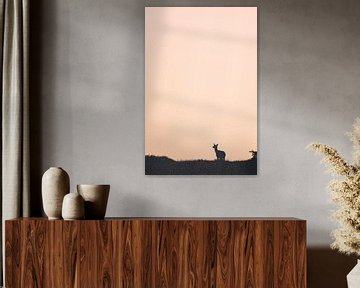 A deer in the beautiful light by Sem Scheerder