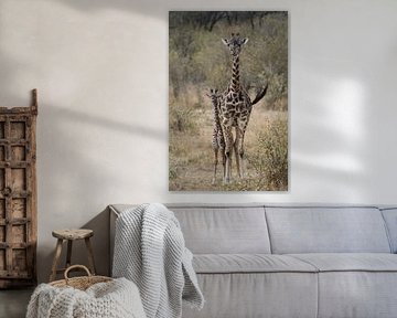 Mother Giraffe with child