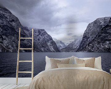 Norway between the fjords by Quin van Saane