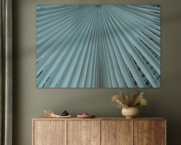 Feuille de palmier tropicale en gris-bleu mat sur Denise Tiggelman