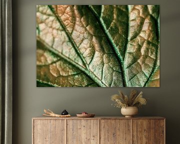 Begonia leaf 1 by Huub de Bresser