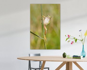 Paaldansen von Udo Schutte