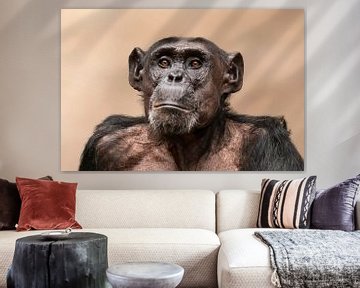 Chimpansee Portret van Mario Plechaty Photography