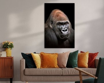 Gorilla Mann Kopf Portrait von Mario Plechaty Photography