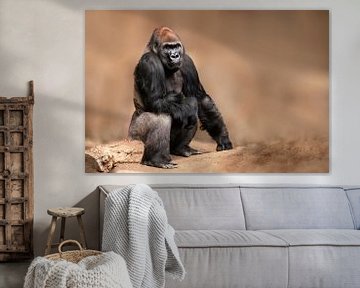 Gorilla male sitting by Mario Plechaty Photography