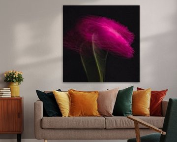 Verrücktes Gänseblümchen Rosa Gerbera von Judith van Gestel