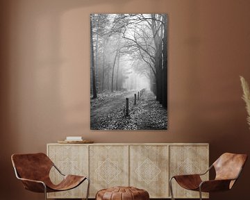 Waldallee mit Nebel | Schwarz und Weiß | Mastbos Breda Niederlande von Merlijn Arina Photography