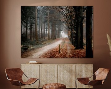 Fog in a winter forest with orange leaves | Mastbos Breda Netherlands