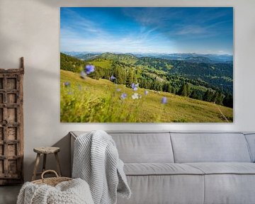 Blumige Aussicht  vom Hochgrat Richtung  Allgäu von Leo Schindzielorz