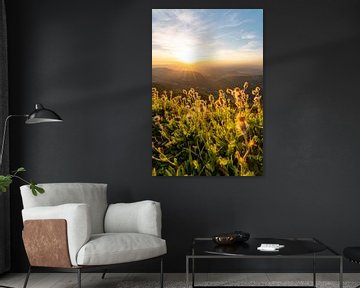 Flowery sunset on the Hochgrat with a view of Oberstaufen by Leo Schindzielorz