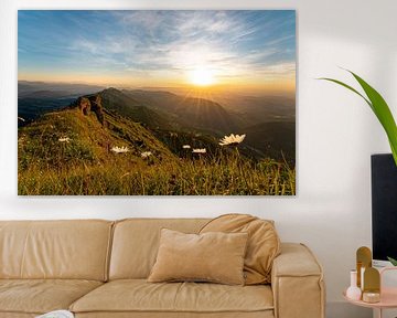 blumiger Sonnenuntergang am Hochgrat mit blick auf Oberstaufen von Leo Schindzielorz