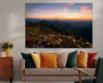 Flowery sunset from the Hochgrat towards Lake Constance by Leo Schindzielorz