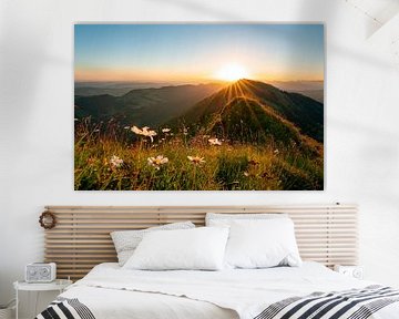Blumiger Sonnenaufgang am Hochgrat mit Blick auf das Rindalphorn von Leo Schindzielorz