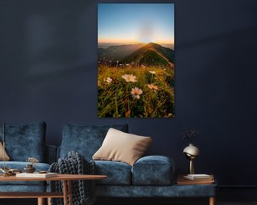 Flowery sunrise on the Hochgrat with view of the Rindalphorn by Leo Schindzielorz