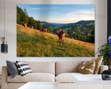 Kühe am Staufen mit Blick auf Oberstaufen zum Sonnenuntergang von Leo Schindzielorz