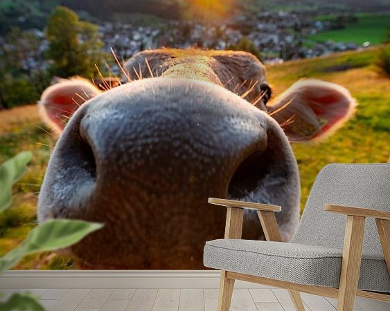 Raumvorschau