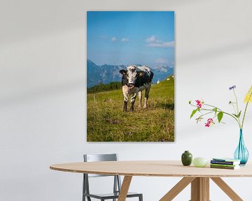 Koe in de bergen van Leo Schindzielorz