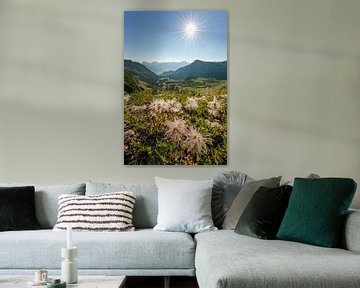 Flowery view of the Tannheim mountains by Leo Schindzielorz