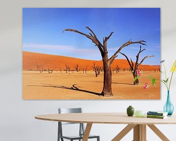Deadvlei Namibia by W. Woyke