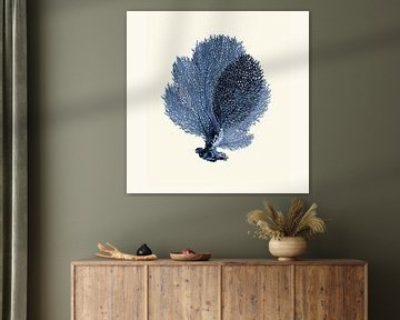 Coral indigo blue botanical illustration by Studio Patruschka