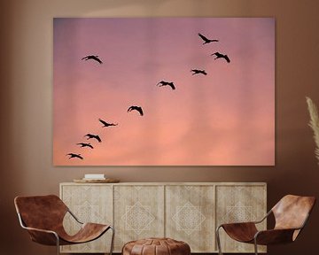 Kraanvogels vliegend in een zonsondergang tijdens de herfst