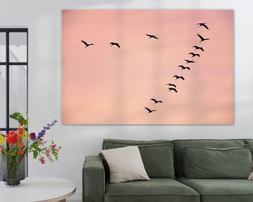 Kraanvogels vliegend in een zonsondergang tijdens de herfst van Sjoerd van der Wal