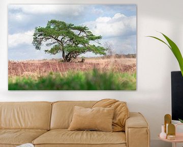 Magnificent savannah-like tree in the wilderness by Gaby Jonker