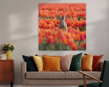 Lapin dans un champ de tulipes qui vous regarde sur Carla van Zomeren