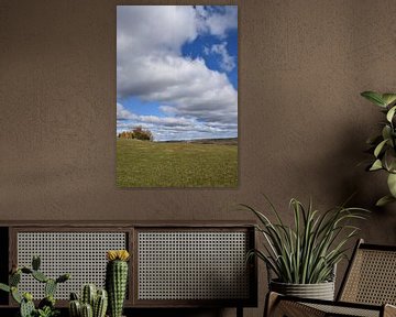 Een veld in de lente onder een bewolkte hemel van Claude Laprise
