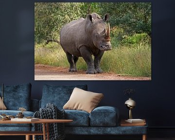 Rhino in Africa van ManSch