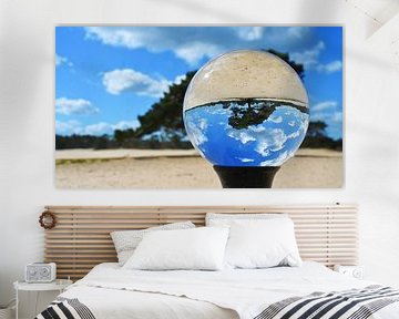 Flying Grove Pine - Lensball - Soester Dunes by Vinte3Sete