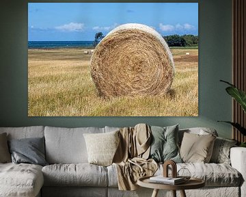 Straw bales on a meadow by the Baltic Sea by t.ART