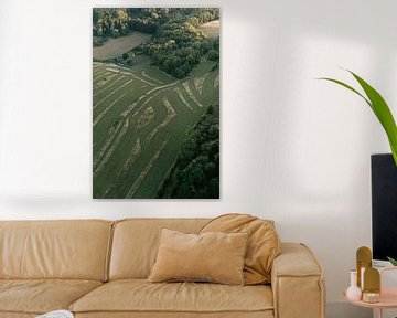 Prachtig groen landschap | Luchtfoto van Zuid-Limburg, Nederland. Landschap en natuurfotografie van Studio Rood