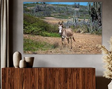 Donkey in the deserted landscape beyond Washikemba Bay by Pieter JF Smit