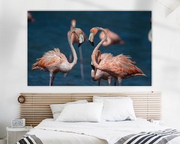 Two flamingos in Bonaire by Pieter JF Smit