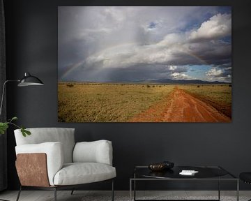 Regenbogen in de Savanne, landschapsopname van Fotos by Jan Wehnert