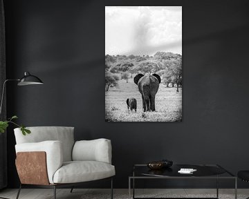 Elefant mit Jungen in Tansania von Eveline Dekkers