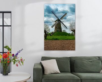 Windmolen in het Nederlandse landschap