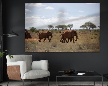 Kudde olifanten op de savanne Kenia, Afrika van Fotos by Jan Wehnert