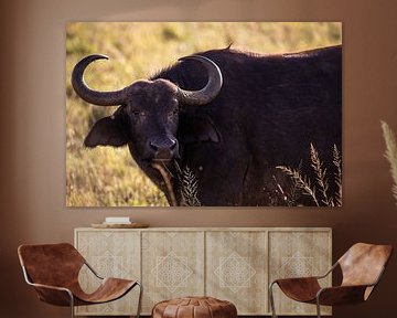 Buffels in de Savanne Kenia, Afrika van Fotos by Jan Wehnert