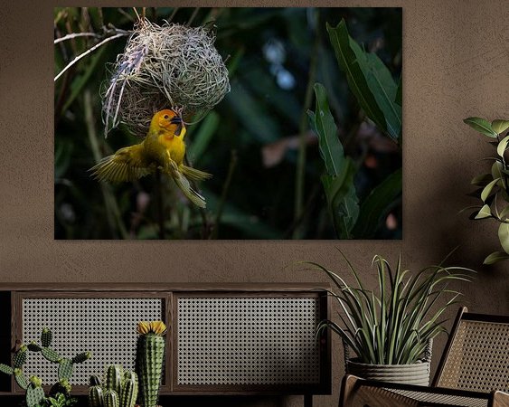 Voorbeeld van het werk in een kamer