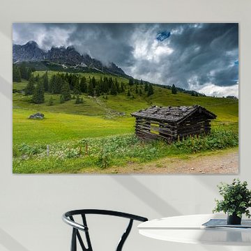 Alpine Meadow at Hochkonig